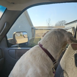 doug