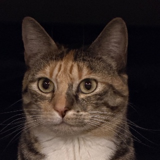 Ben