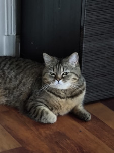 Olga