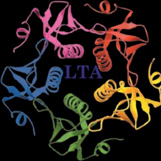 letstalkacademy