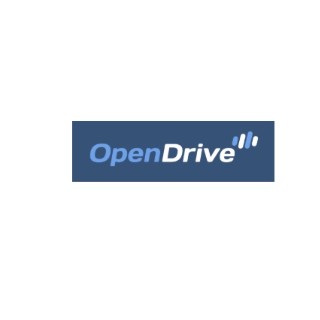 Open Drive