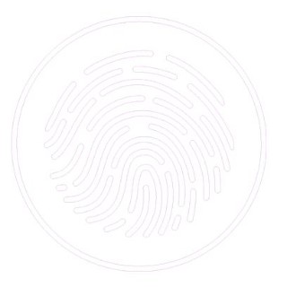 Ivasta Security