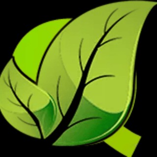 Q kratom