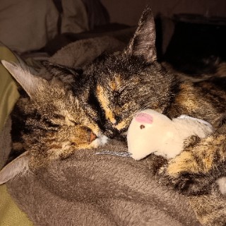 Tabitha W