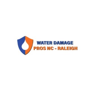 the Water Damage Pros Raleigh nc