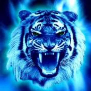 nonix11159 nonix11159