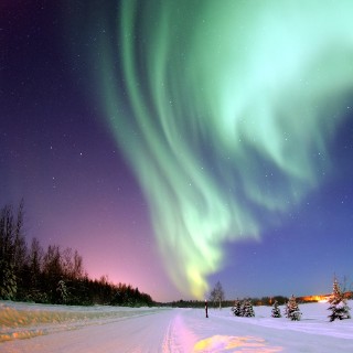 Aurora _