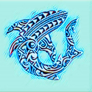 Ninth Island Adventures