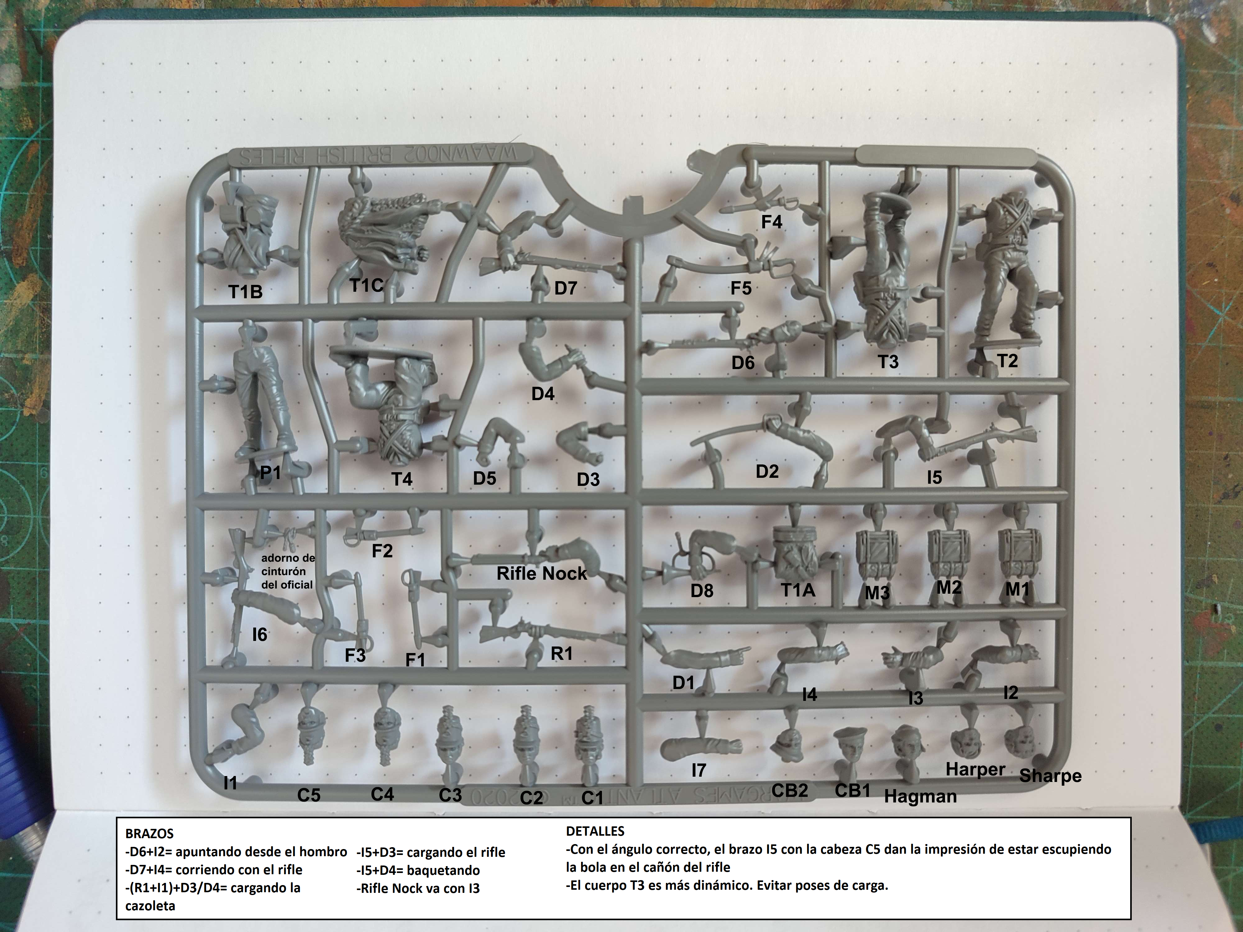 Assembly diagram for the british riflemen kit